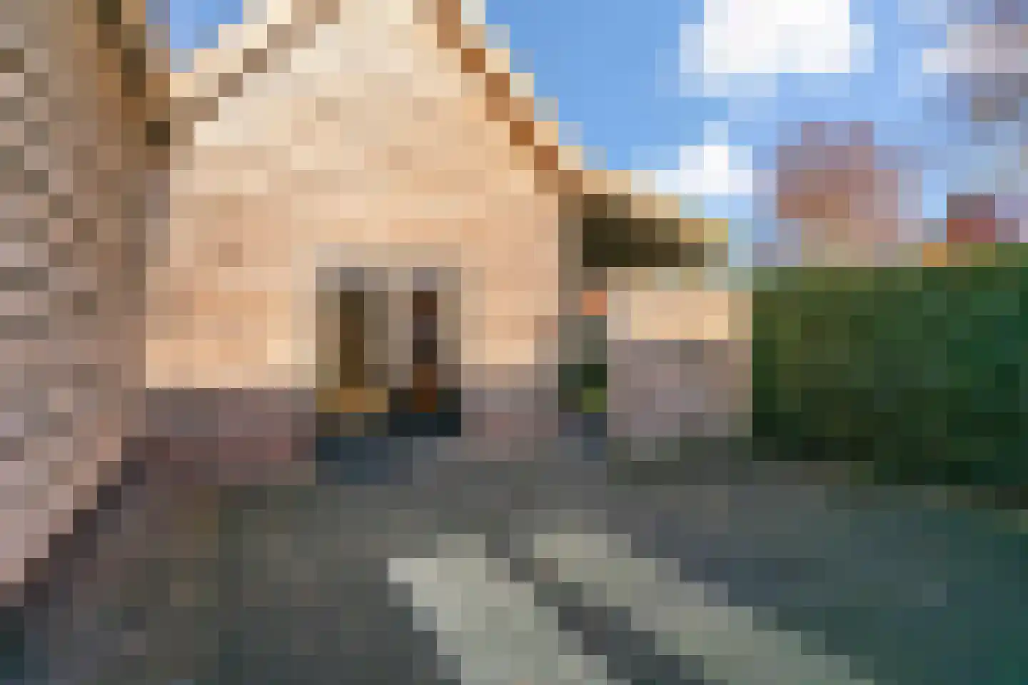Visweg 71 Limmen thumbnail 61