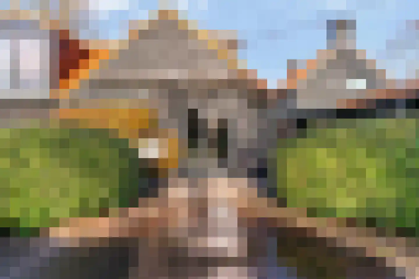 Visweg 71 Limmen thumbnail 73