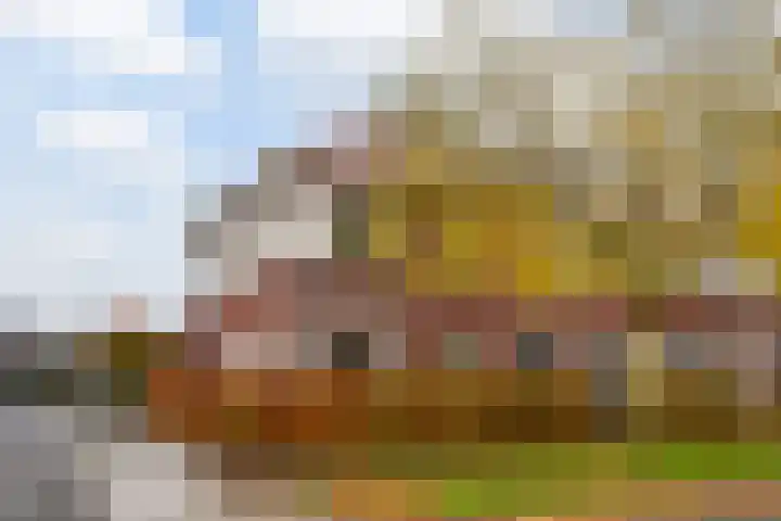 Vitruvius 1 in Wijk bij Duurstede