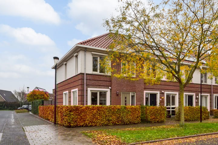 Vitruvius 1 in Wijk bij Duurstede foto