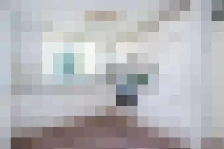 Vivaldilaan 6 Dirksland thumbnail 9