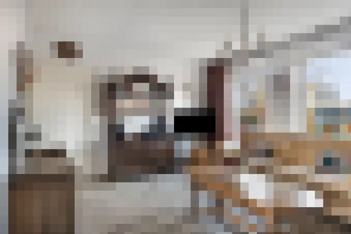 Vivaldipad 18 Goes thumbnail 6