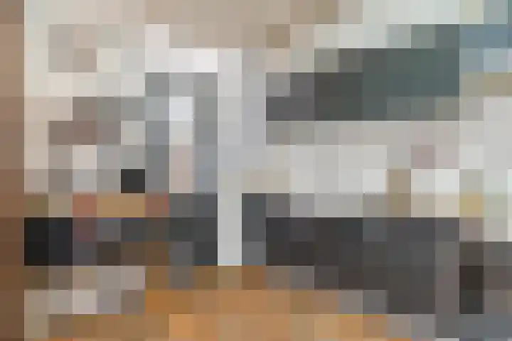 Vivaldistraat 26 Oss thumbnail 11