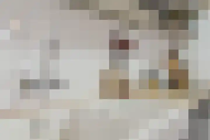 Vivaldistraat 26 Oss thumbnail 13