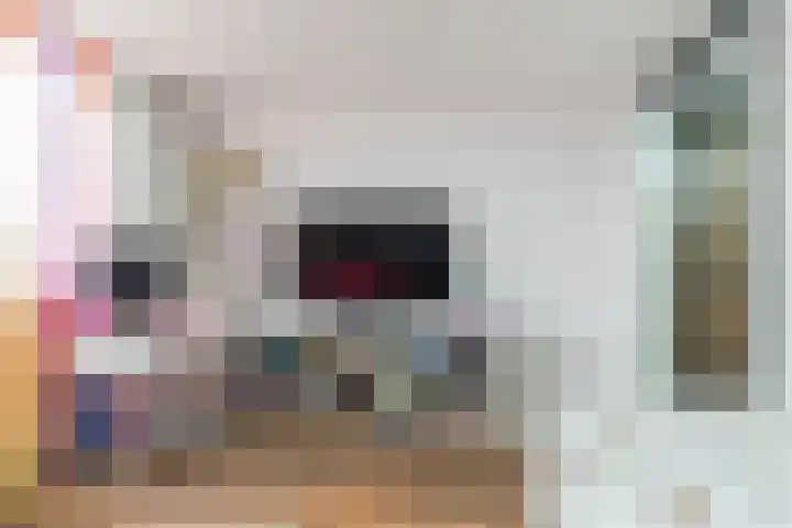 Vivaldistraat 26 Oss thumbnail 24