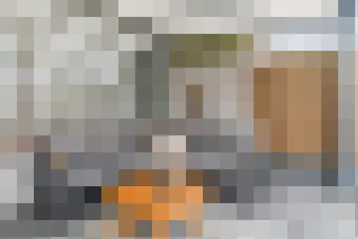 Vivaldistraat 26 Oss thumbnail 28