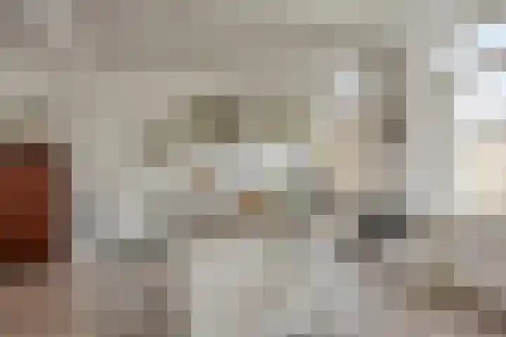 Vivaldistraat 44 Oss thumbnail 16