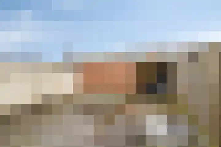 Vivaldistraat 44 Oss thumbnail 20
