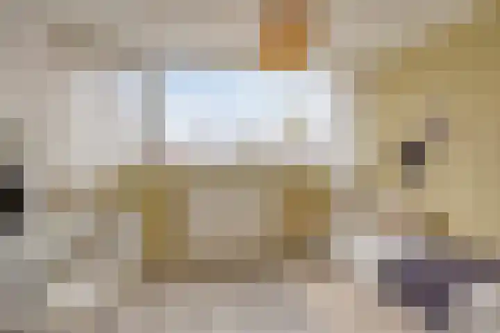 Vivaldistraat 44 Oss thumbnail 25