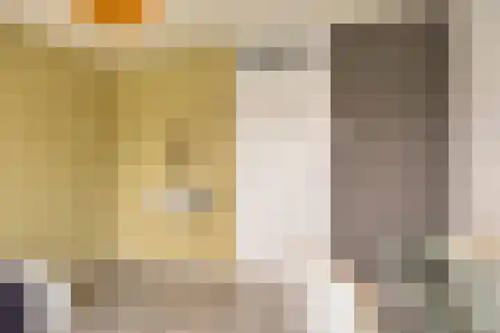 Vivaldistraat 44 Oss thumbnail 26