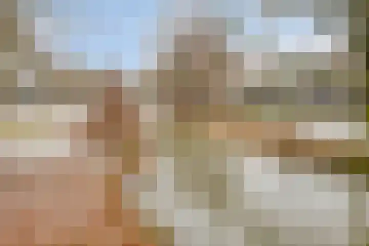 Vivaldistraat 44 Oss thumbnail 36