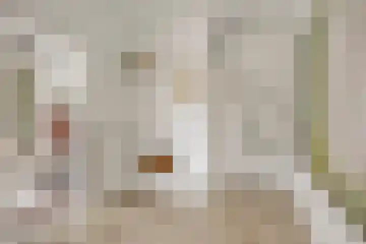 Vivaldistraat 44 Oss thumbnail 6