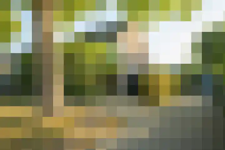Viveslaan 66 en Breda