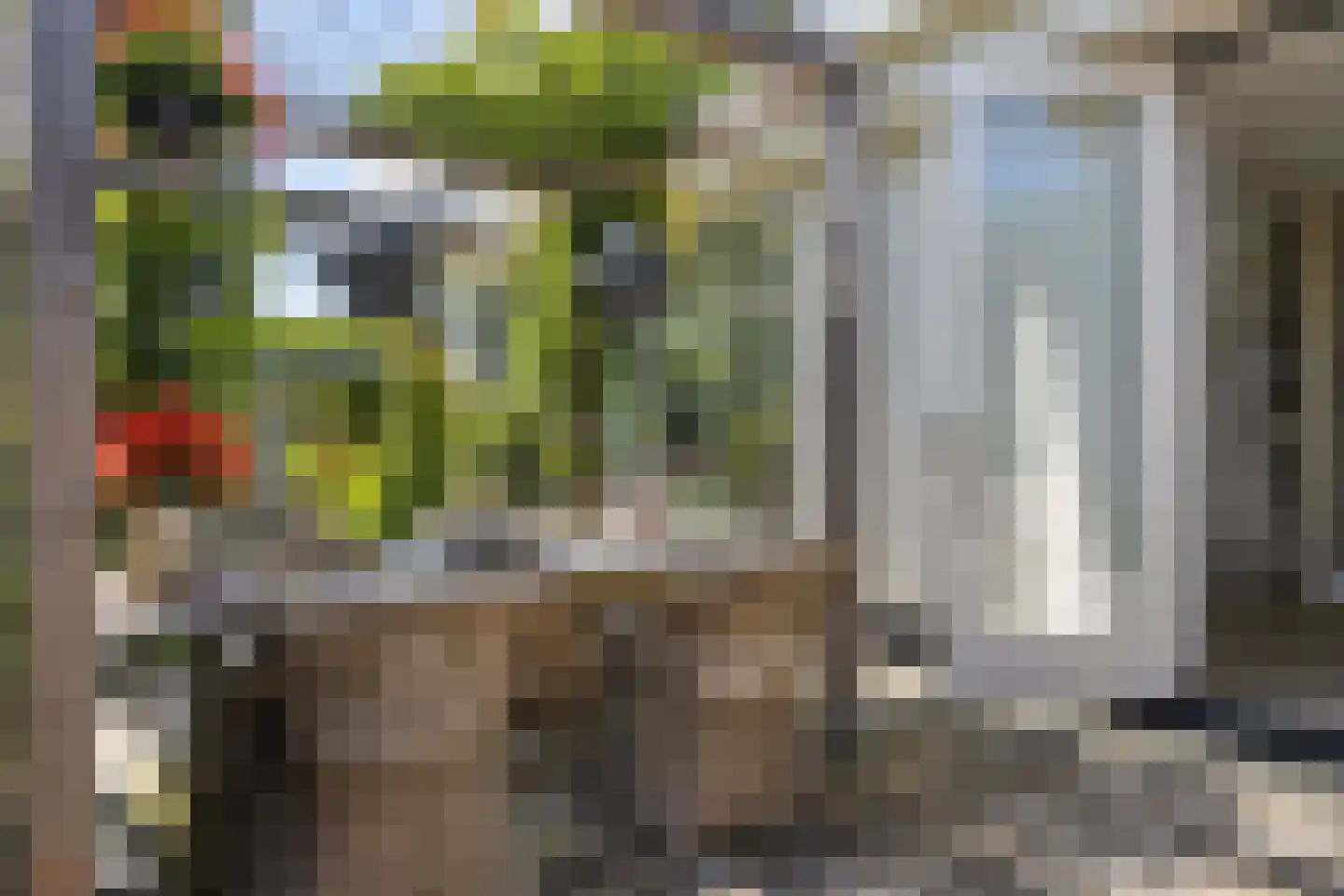 Vlaak 11 Lemmer thumbnail 34