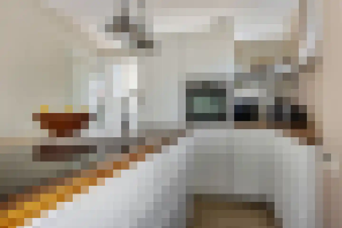 Vlaak 11 Lemmer thumbnail 7