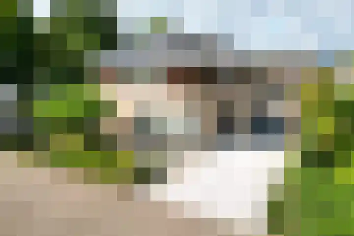 Vlaamse Gaai 2 in Mierlo