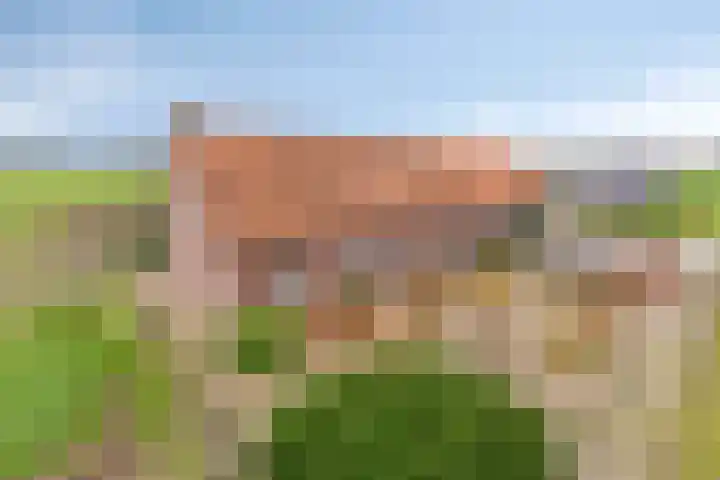 Vlagberg 29 Sint Anthonis thumbnail 5