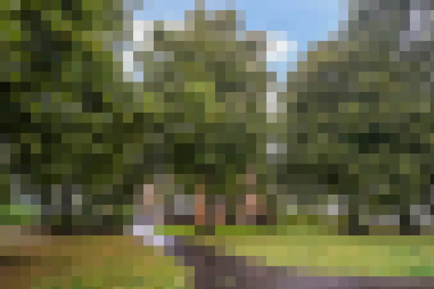 Vlamenburg 63 Den Haag thumbnail 33