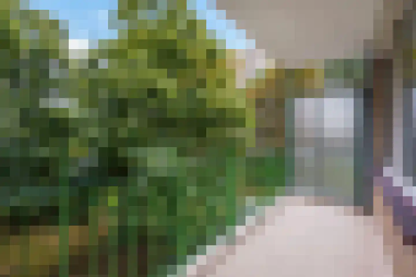 Vlamenburg 63 Den Haag thumbnail 4