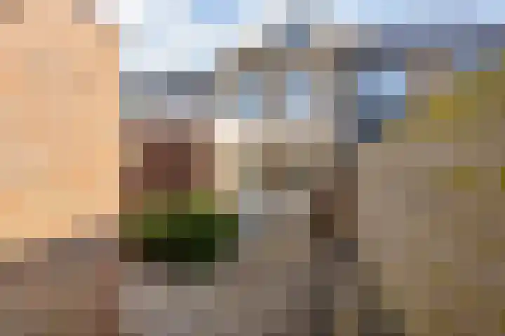 Vlamingstraat 6 Den Helder thumbnail 26