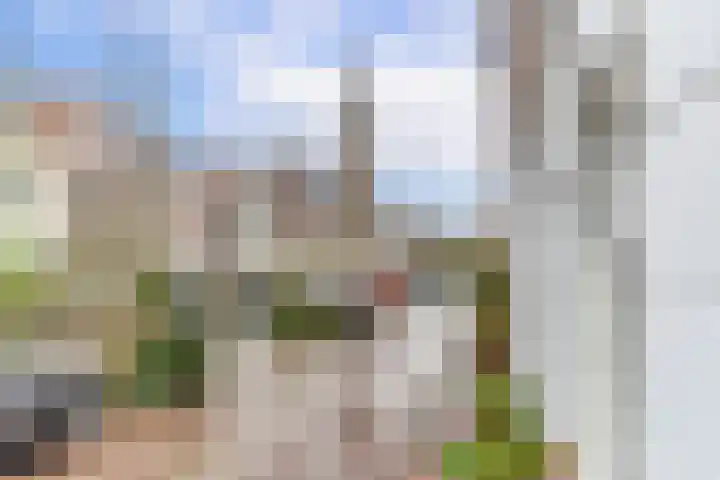 Vlamingstraat 66 Delft thumbnail 5