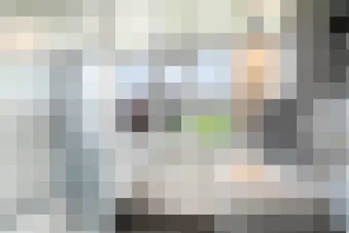 Vlamingvaart 42 Steenbergen thumbnail 23