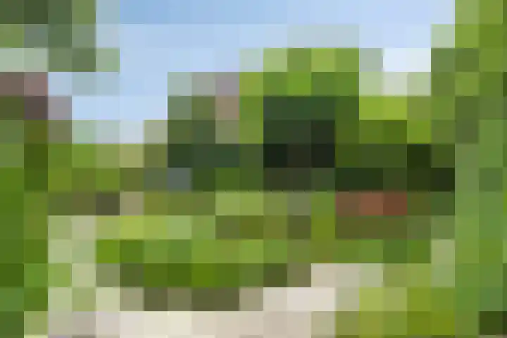 Vlamingvaart 42 Steenbergen thumbnail 36