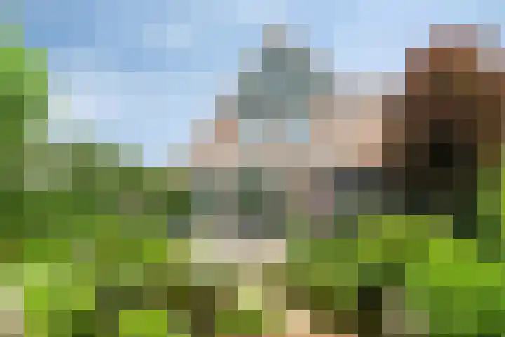 Vlamingvaart 42 Steenbergen thumbnail 4