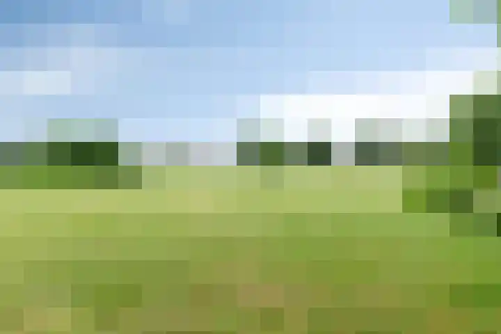 Vlamingvaart 42 Steenbergen thumbnail 43