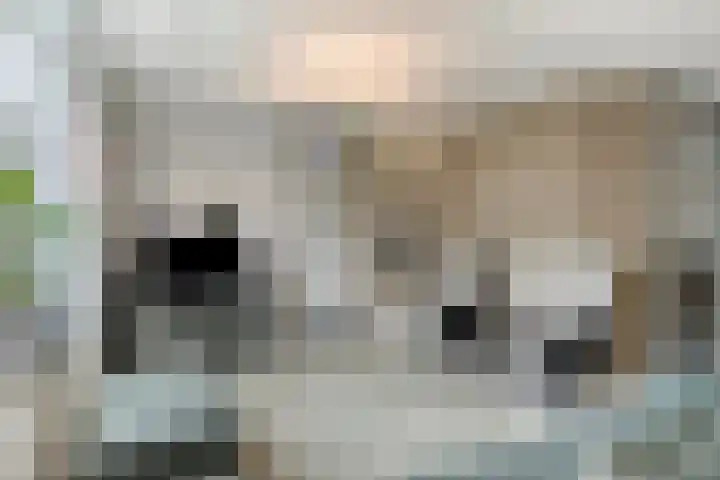 Vlamingvaart 42 Steenbergen thumbnail 8