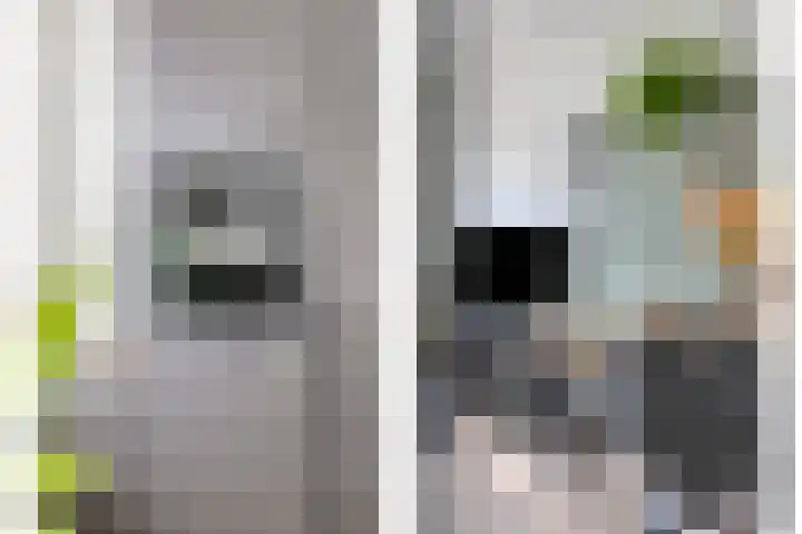 Vlasacker 13 Veldhoven thumbnail 10