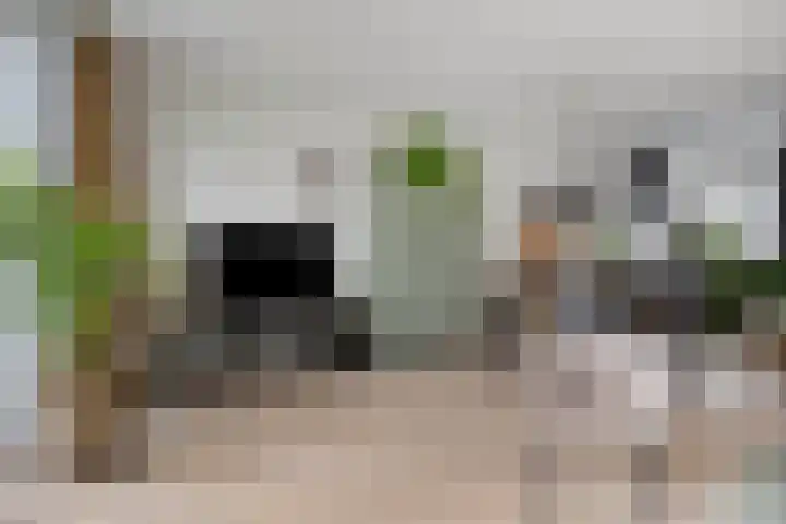 Vlasacker 13 Veldhoven thumbnail 12