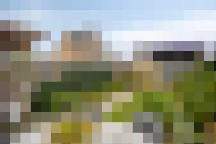 Vlasacker 13 Veldhoven thumbnail 4