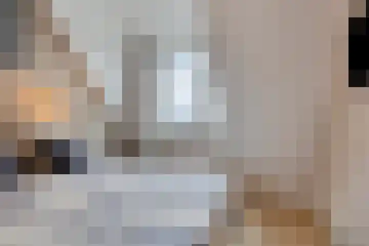 Vlasacker 15 Veldhoven thumbnail 11