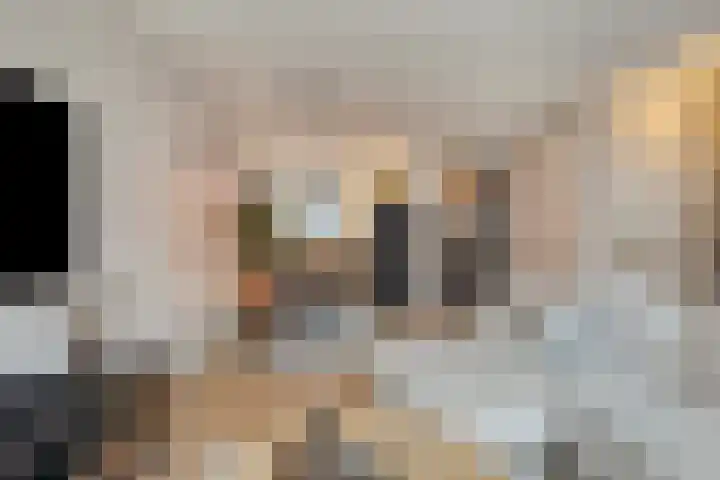 Vlasacker 15 Veldhoven thumbnail 4