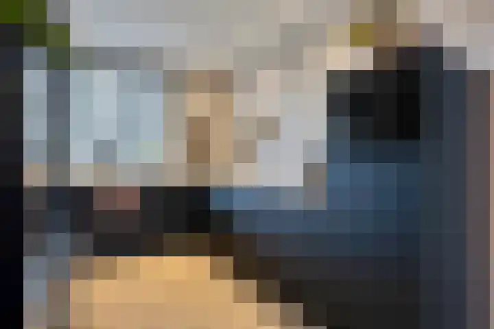 Vlasacker 15 Veldhoven thumbnail 8