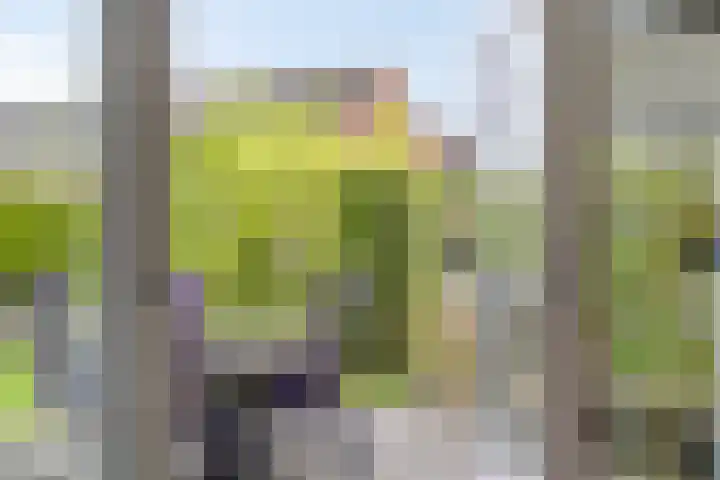 Vlasakker 32 Heino thumbnail 16