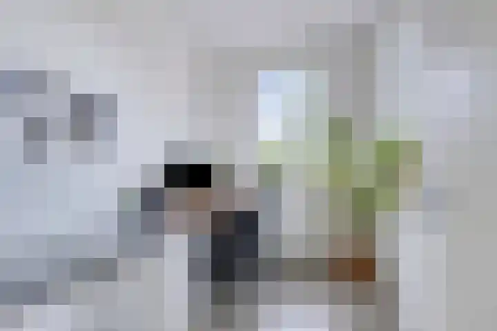 Vlasakker 32 Heino thumbnail 21