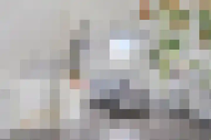 Vlasakker 32 Heino thumbnail 25