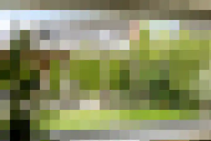 Vlasakker 32 Heino thumbnail 27
