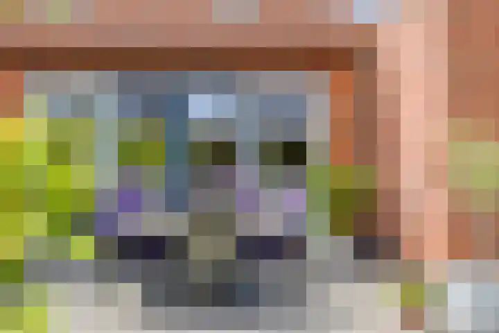 Vlasakker 32 Heino thumbnail 30