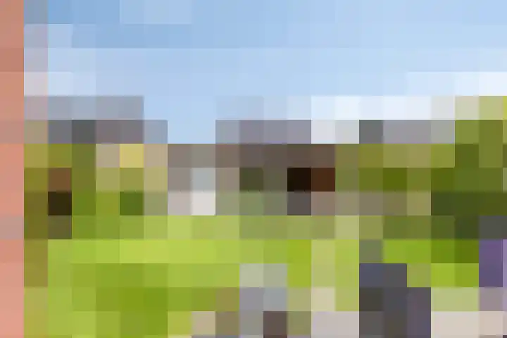 Vlasakker 32 Heino thumbnail 32
