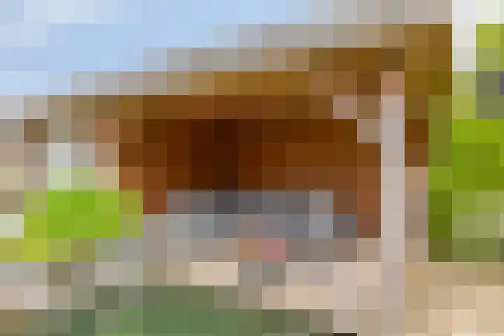 Vlasakker 32 Heino thumbnail 34