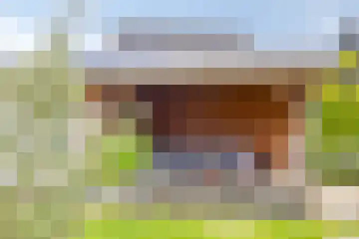 Vlasakker 32 Heino thumbnail 35