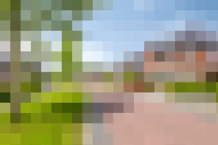 Vlasakker 32 Heino thumbnail 4