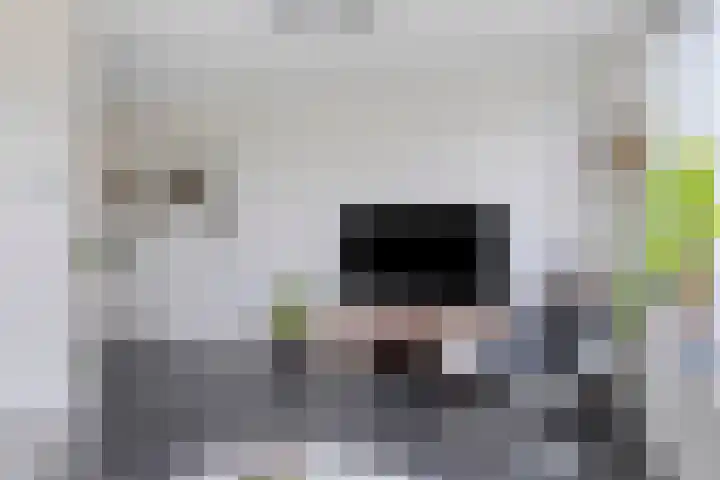 Vlasakker 32 Heino thumbnail 7