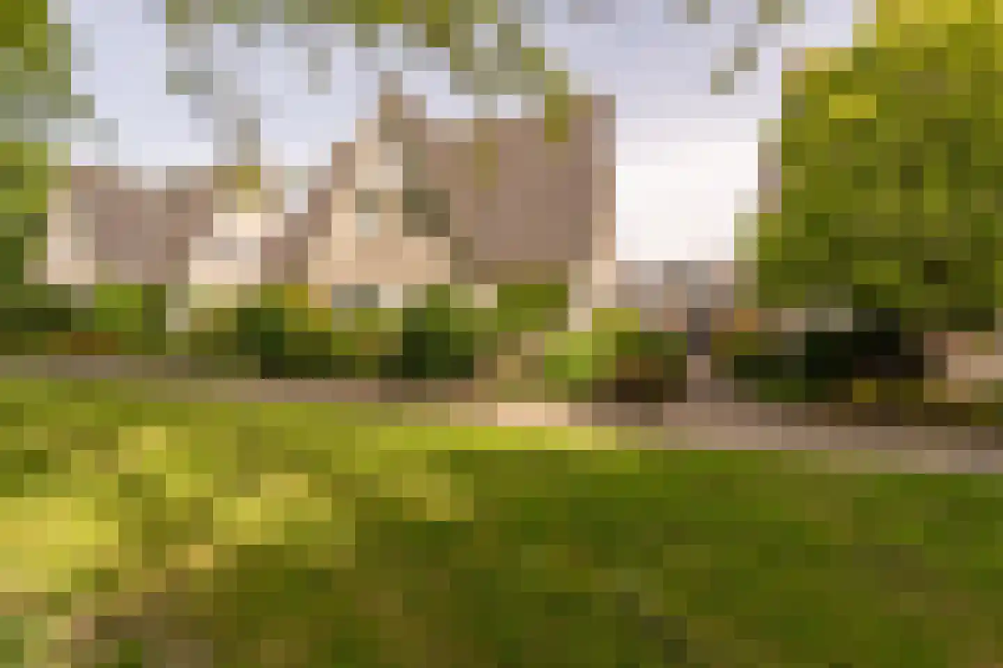 Vlasakkers 18 Westmaas