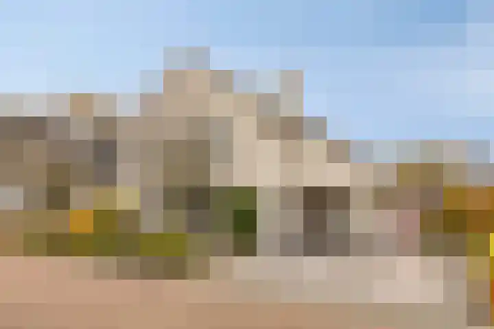 Vlasheuvel 18 Best