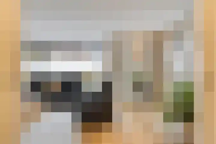 Vlasheuvel 18 Best thumbnail 13