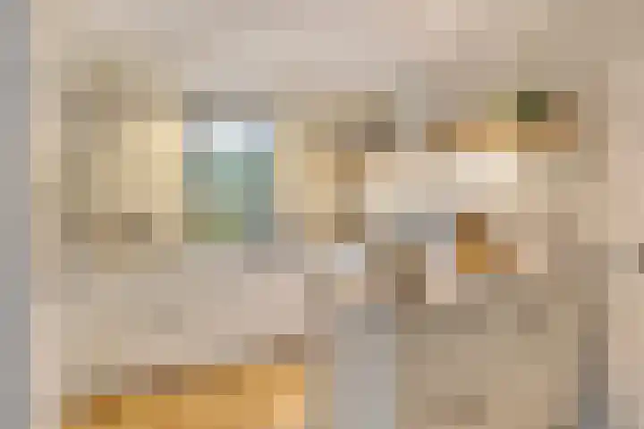 Vlasheuvel 18 Best thumbnail 19